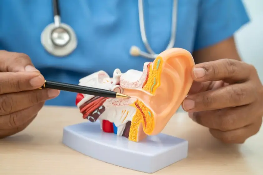 انواع عفونت گوش