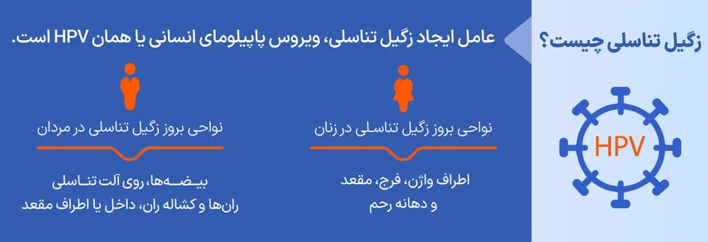 زگیل تناسلی در مردان و زنان